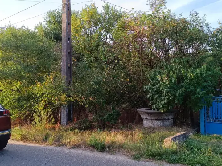 De vanzare teren intravilan cu padure – Potlogeni Vale, com. Crangurile, jud. Dambovita img 4